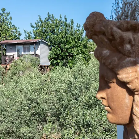 Casa Arbol Feriehus Camarles