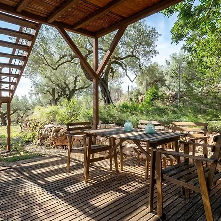 Casa Arbol بيت للعطل