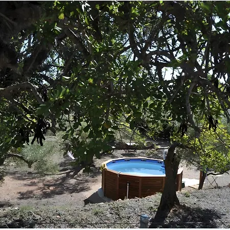 Casa Arbol *