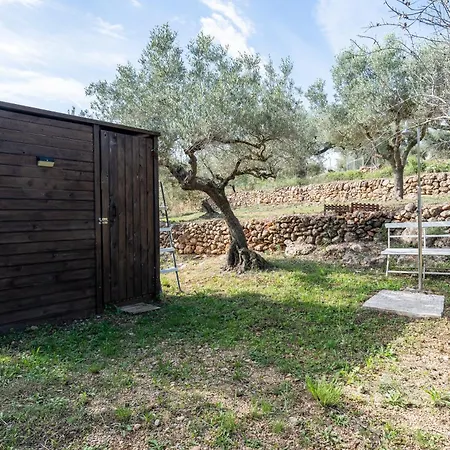 Casa Arbol