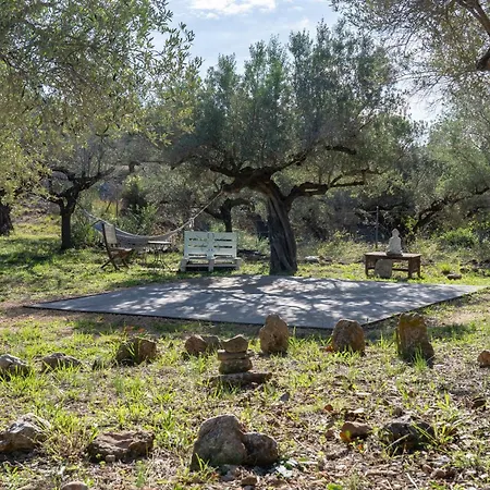 Casa Arbol بيت للعطل *