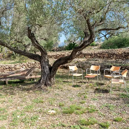 Casa Arbol Camarles