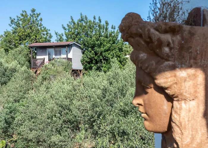 펜션 Casa Arbol Camarles