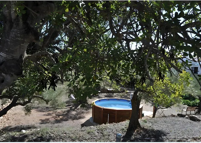 Casa Arbol 펜션 *